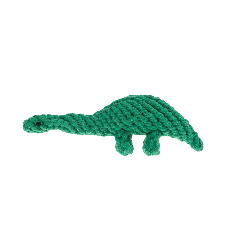 Dinosaur Rope Dog Toy