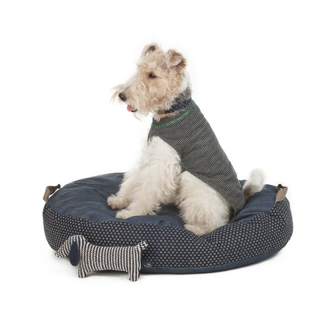 45Rとのコラボレーション