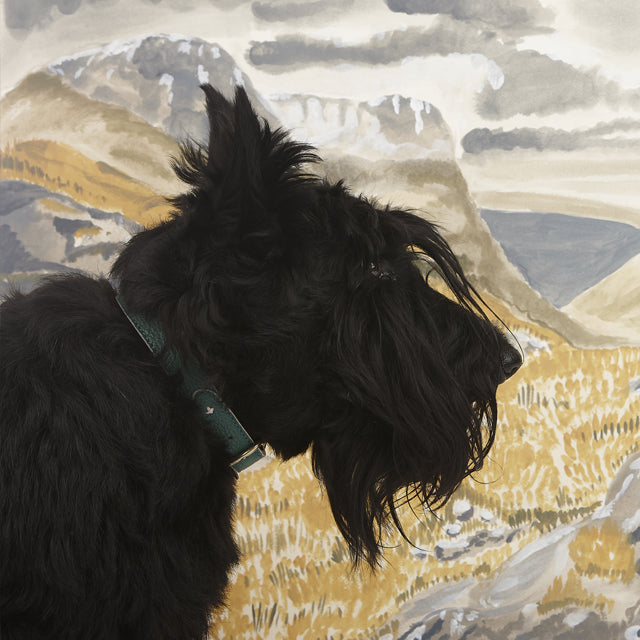 注目すべきスコットランドの犬たち