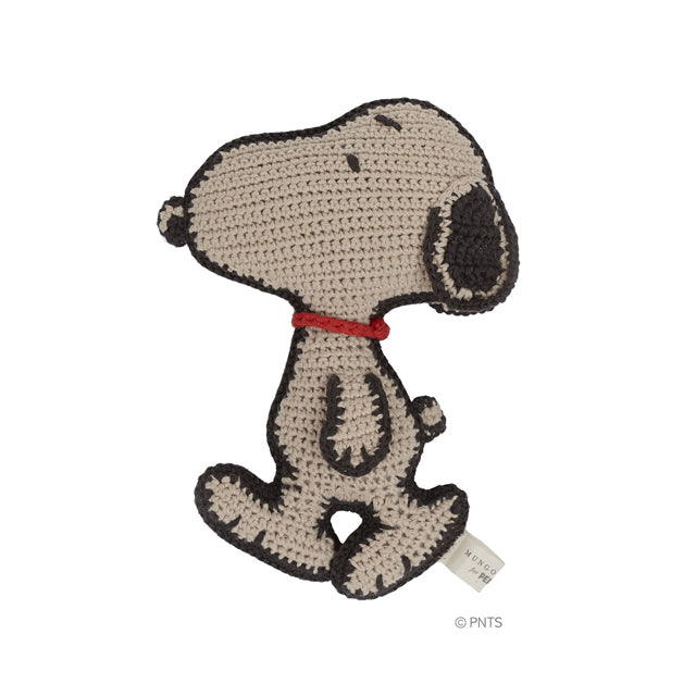 ピーナッツのためのマンゴー＆モード