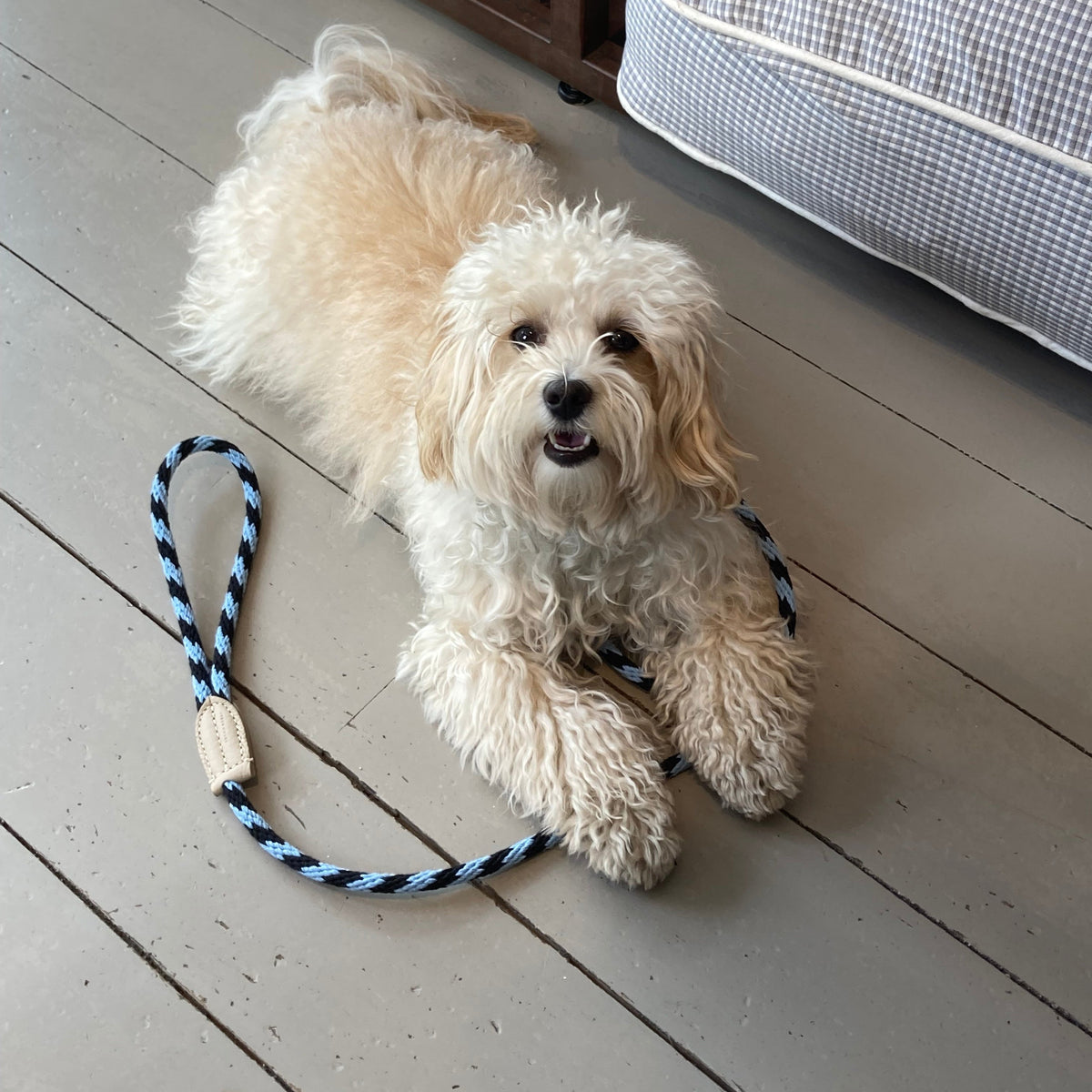 Rope Dog Leads | Mungo & Maud