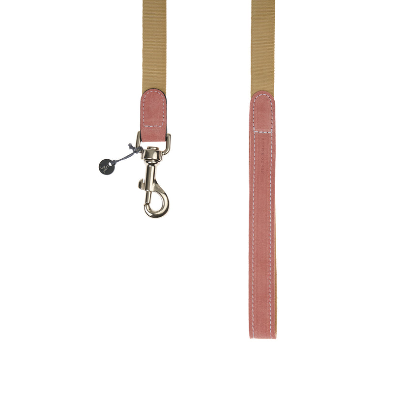 Baseball Dog Lead