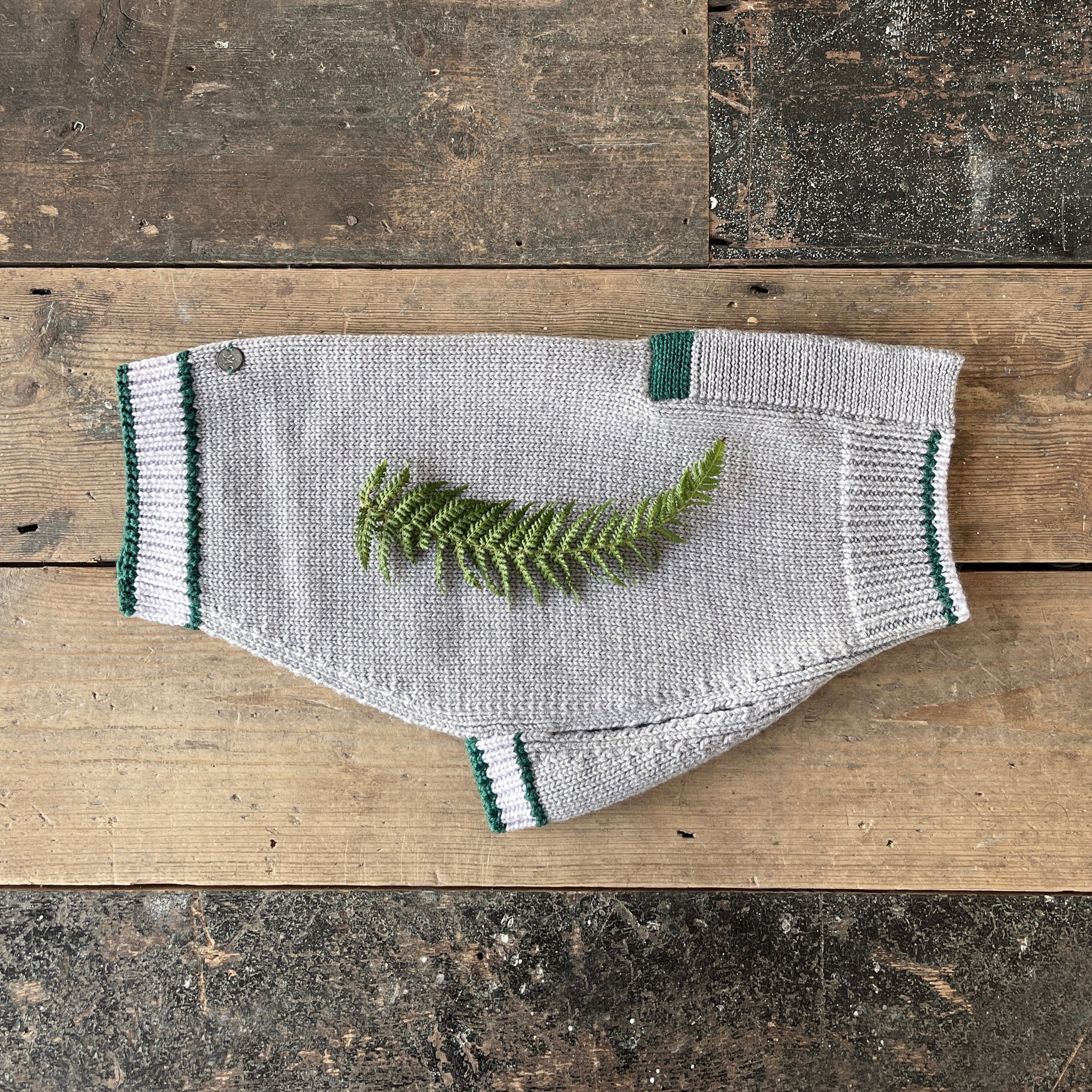 Index Merino Dog Pullover Fog Emerald Mungo & Maud