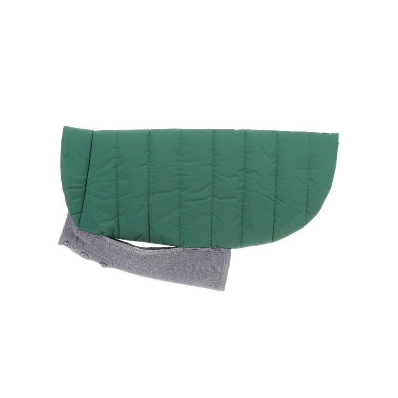 Beetle Dog Coat