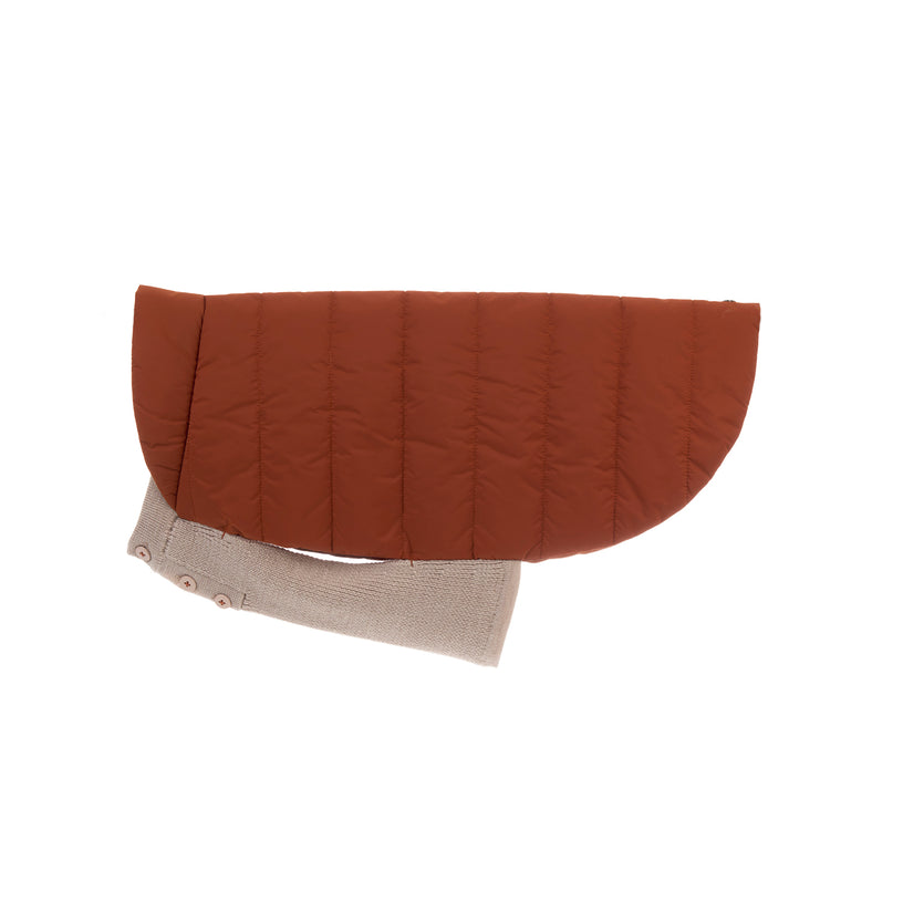 Beetle Dog Coat