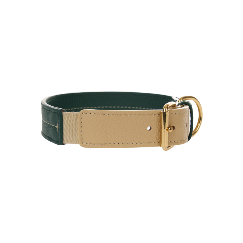 Bauhaus Dog Collar