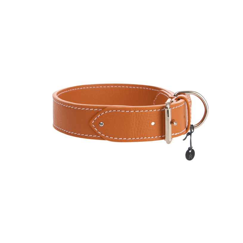 Oxford Dog Collar
