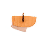 Mungo & Maud Luxury Dog & Cat Outfitters Bauhaus Leather Dog Collar Orange Brown Beetle Dog Coat Orange