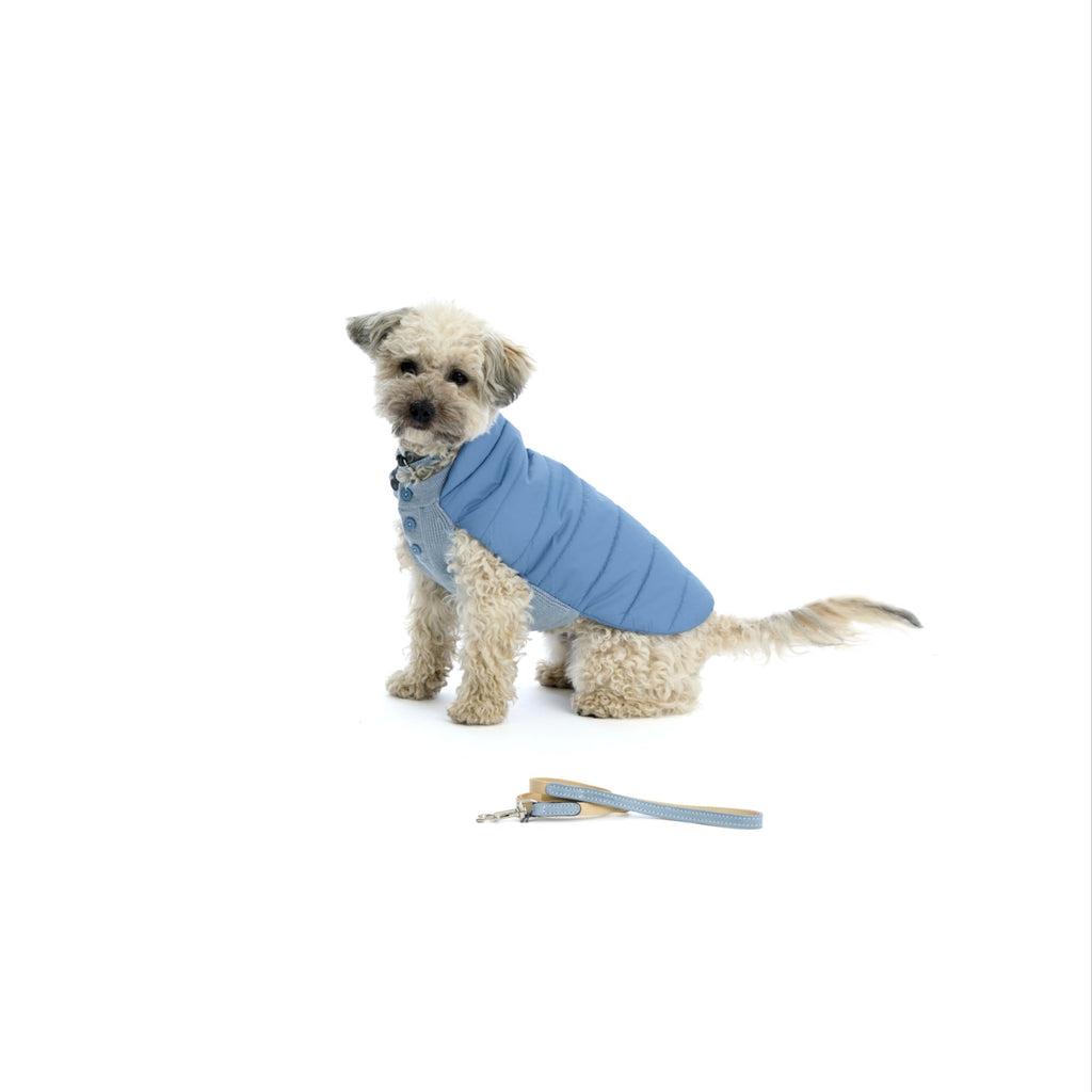 Mungo & Maud Luxury Dog & Cat Outfitters Beetle Dog Coat Blue