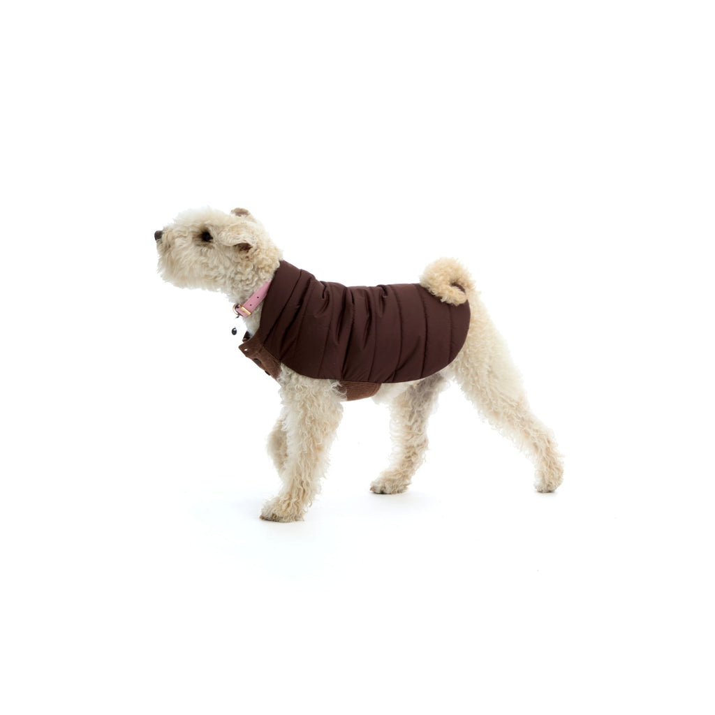 Mungo & Maud Luxury Dog & Cat Outfitters Beetle Dog Coat Brown