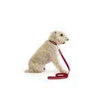 Mungo & Maud Luxury Dog & Cat Outfitters Torino Leather Lead Red Taupe