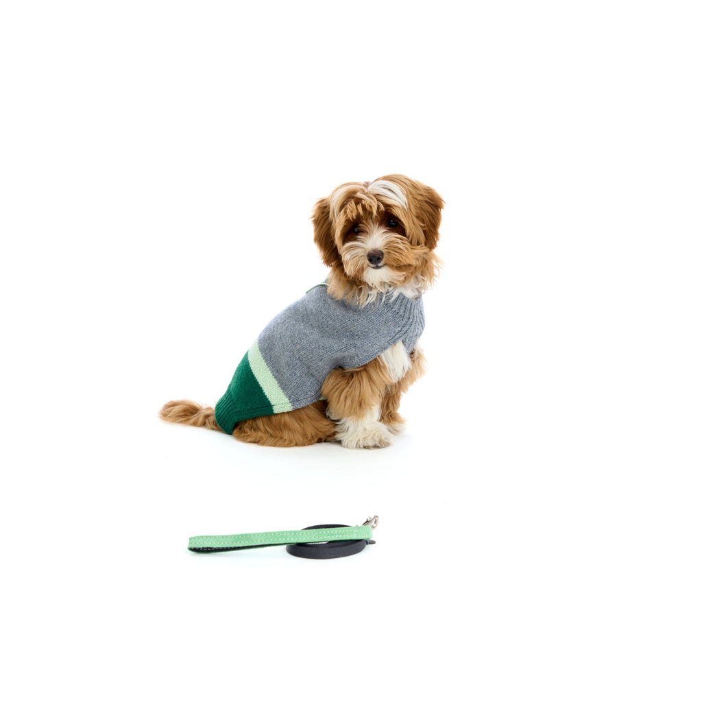 Mungo & Maud Luxury Dog & Cat Outfitters Baseball Cotton Suede Dog Lead Grey Green Obi Merino Cashmere Pullover Grey Green
