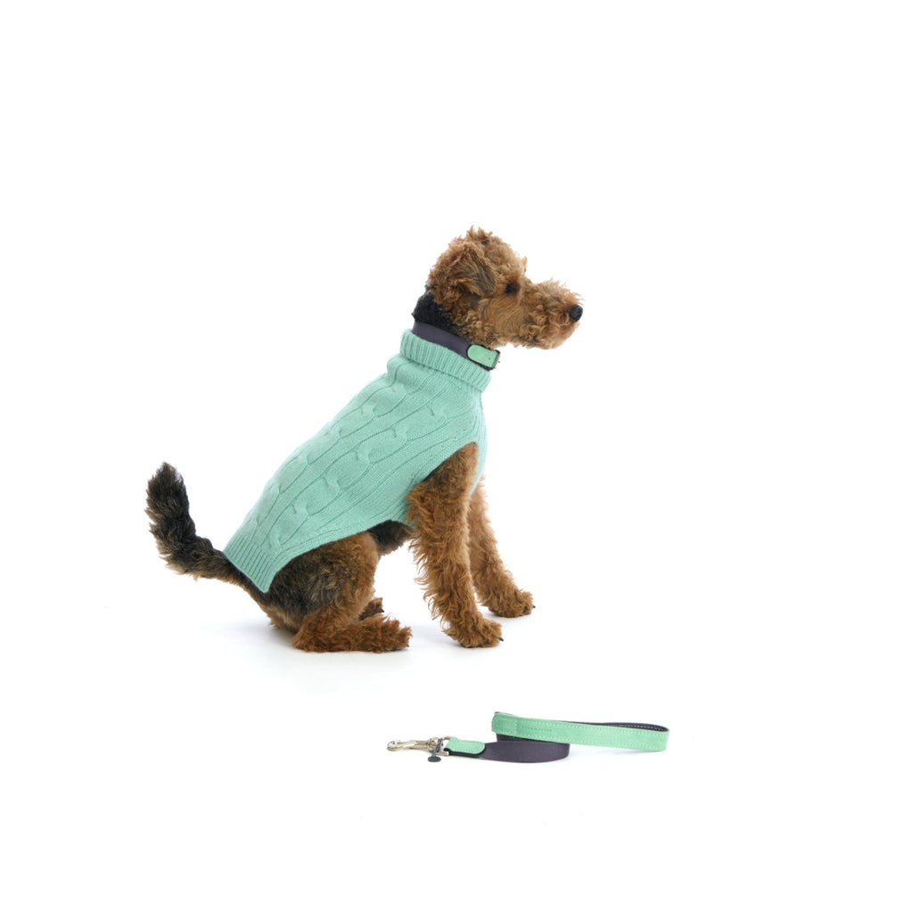 Mungo & Maud Luxury Dog & Cat Outfitters Baseball Cotton Suede Dog Collar Grey Green Cable Cashmere Dog Pullover Green