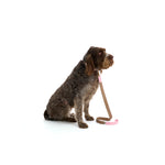 Mungo & Maud Luxury Dog & Cat Outfitters Bauhaus Leather Dog Lead Brown Pink