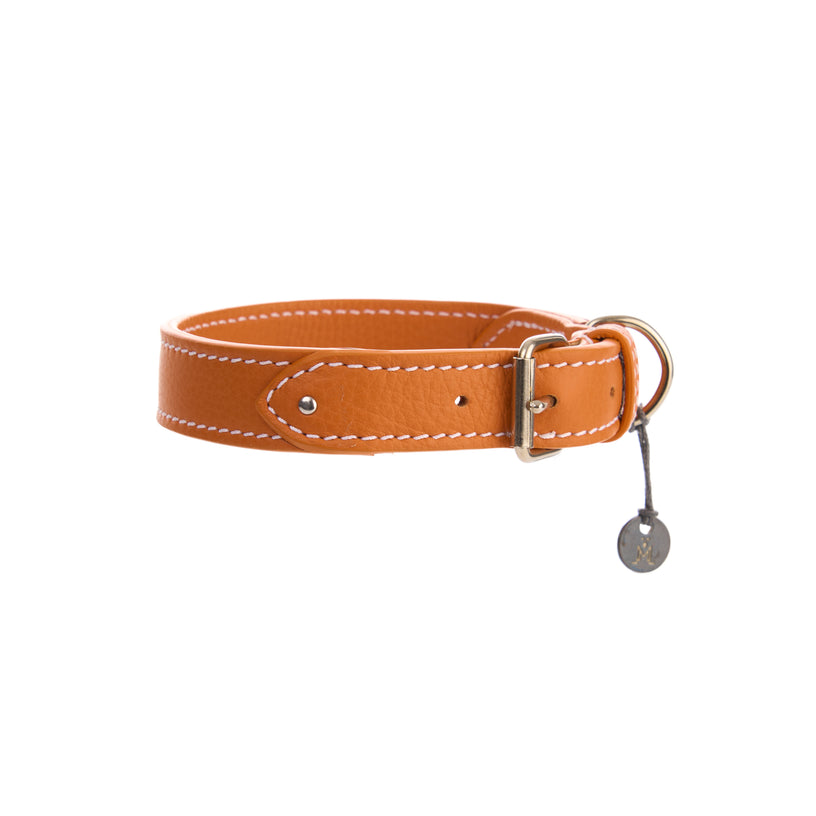 Oxford Dog Collar