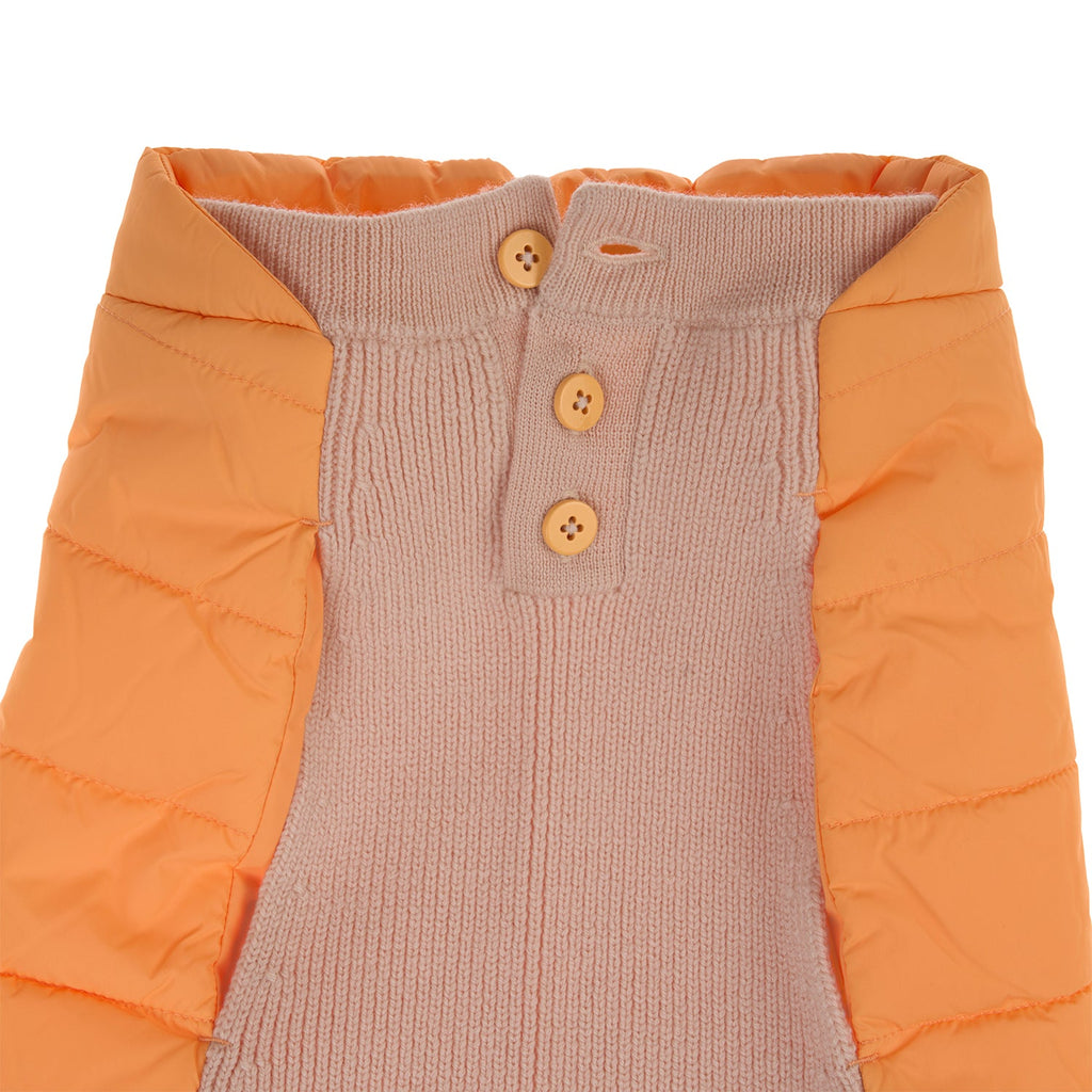 Mungo & Maud Luxury Dog & Cat Outfitters Beetle Dog Coat Orange