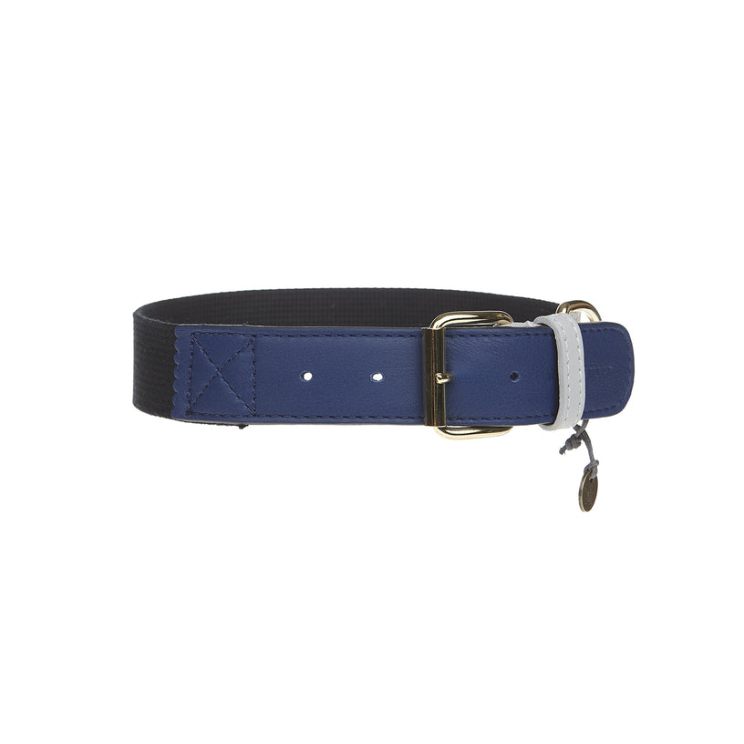 Amalfi Dog Collar