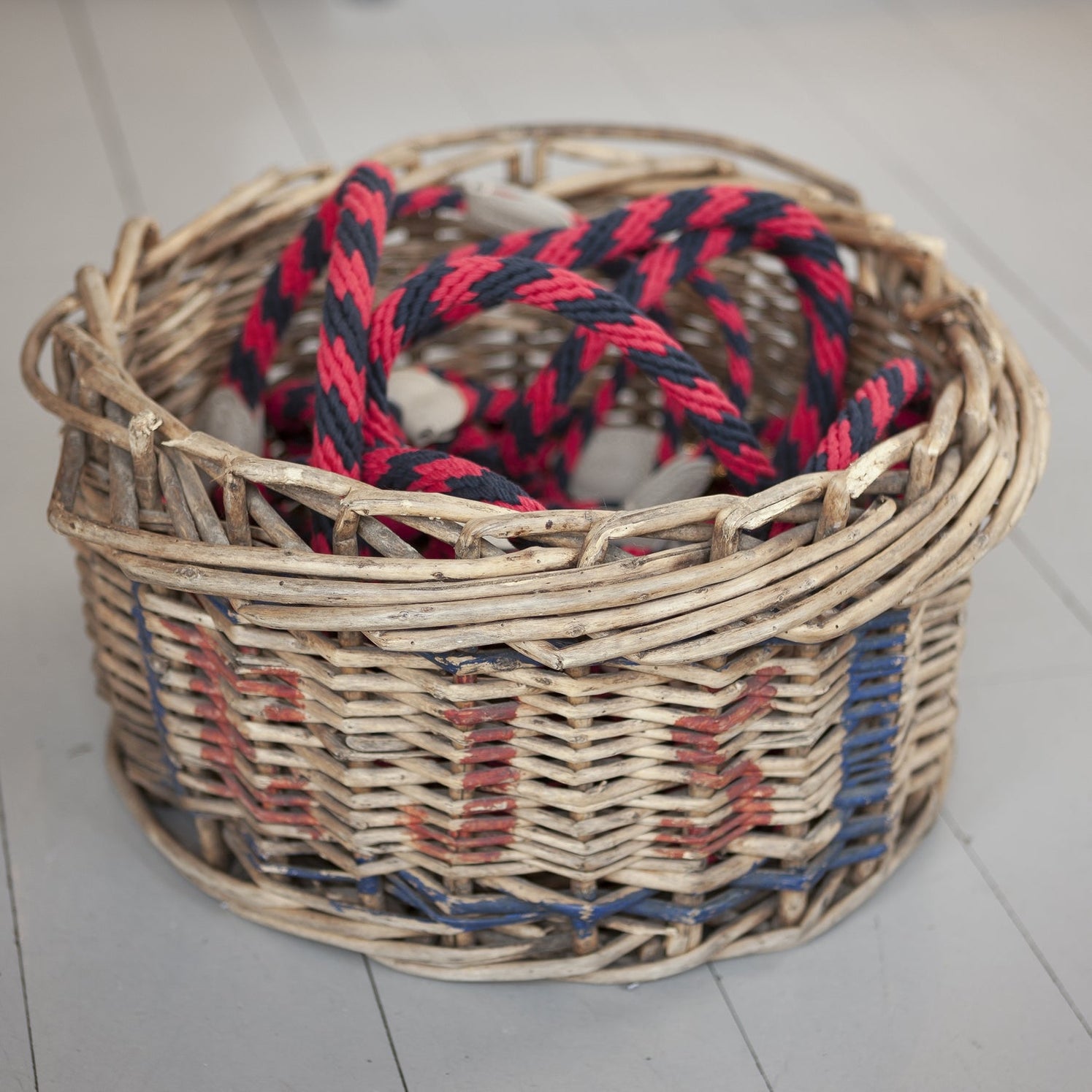 Rock Candy Rope Dog Lead Parrot | Mungo & Maud